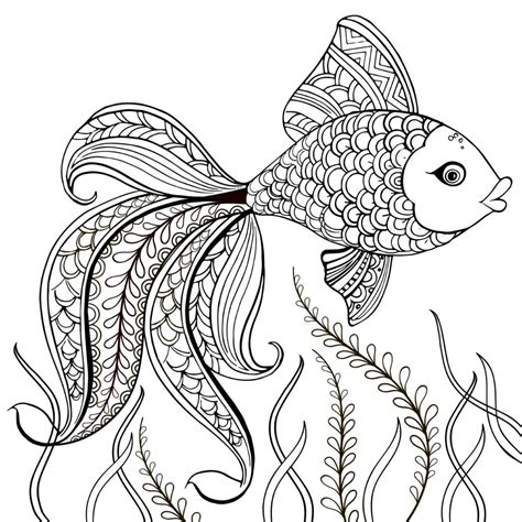 printable fish pictures|Free Fish Coloring Pages for Kids & Adults (PDF Printables).